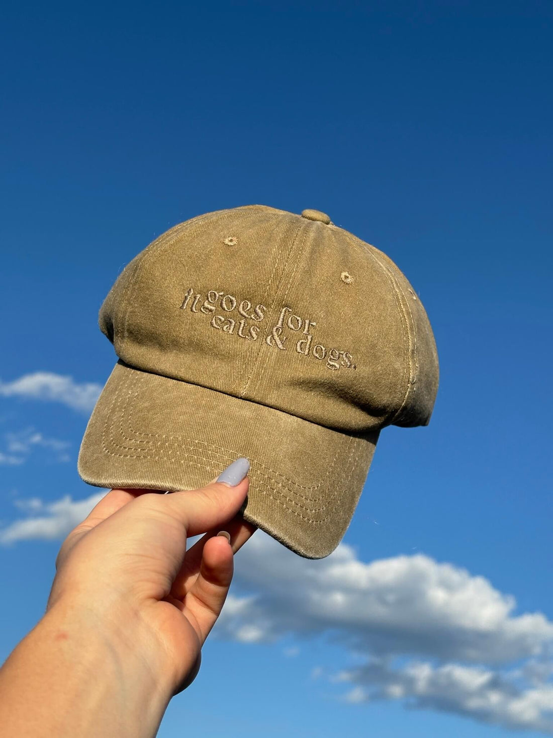 Cats&dogs cap