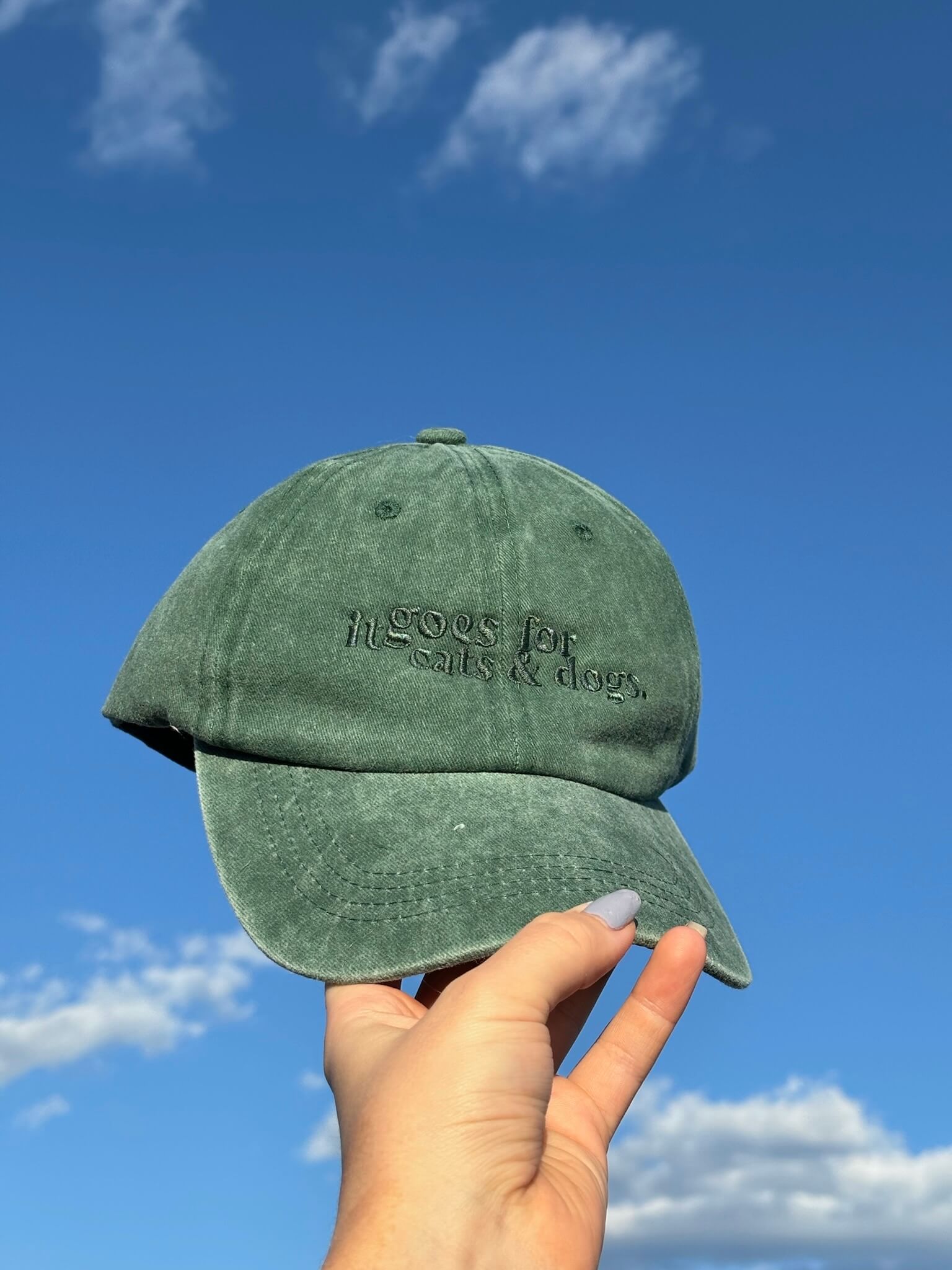 Cats&amp;dogs cap