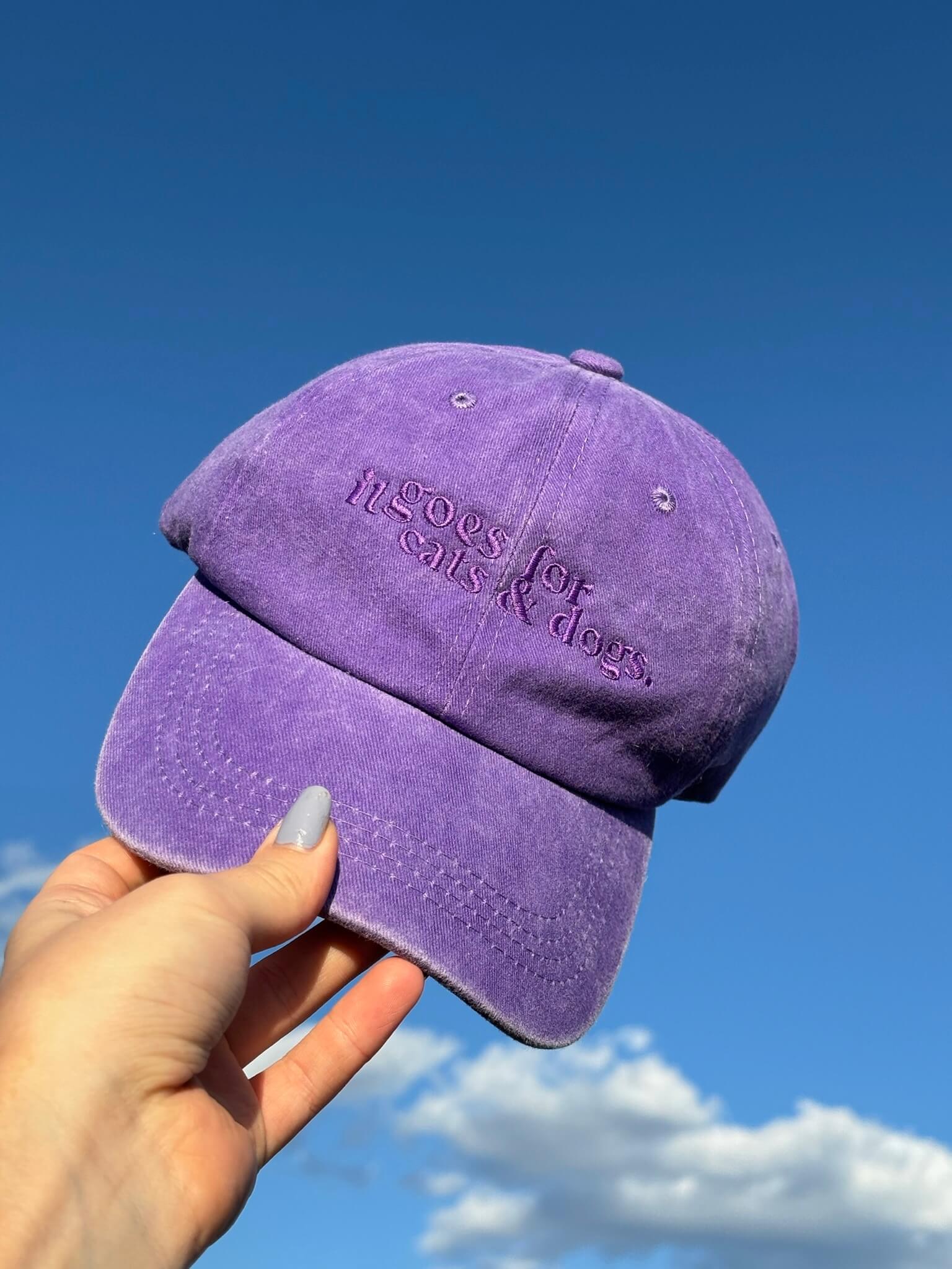 Cats&amp;dogs cap