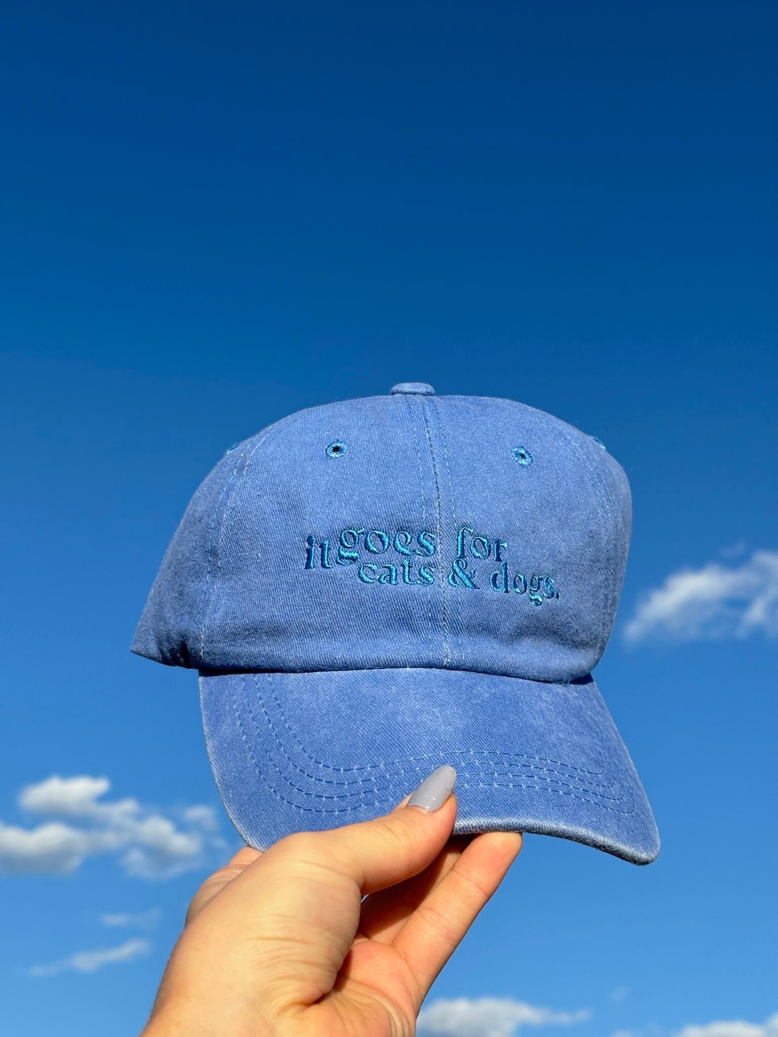 Cats&amp;dogs cap